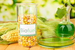 Letcombe Bassett biofuel availability